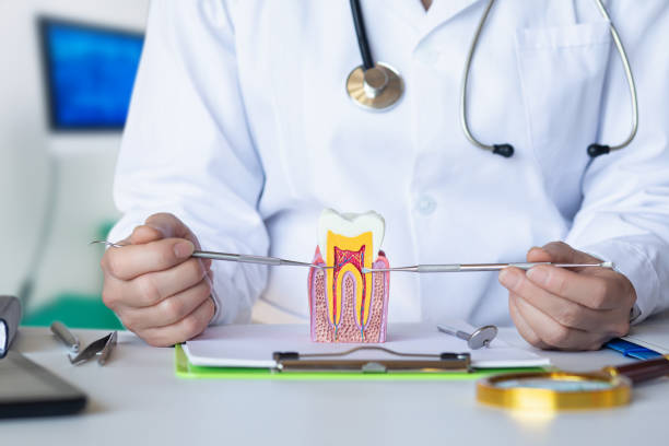 Best Emergency Dental Care for Broken or Chipped Teeth in Buenaventura Lakes, FL